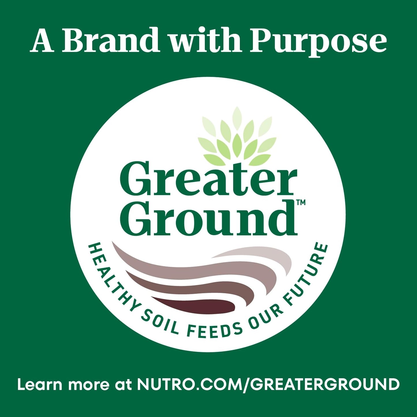 Wholesome Essentials Adult Dry Cat Food, Chicken & Brown Rice Recipe, 5 Lb. Bag