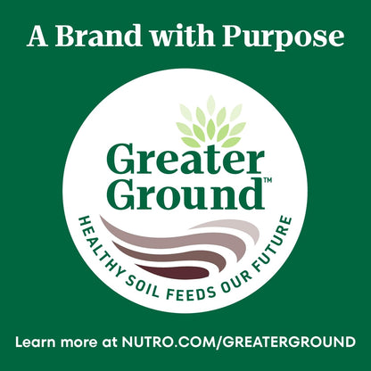 Wholesome Essentials Adult Dry Cat Food, Chicken & Brown Rice Recipe, 5 Lb. Bag